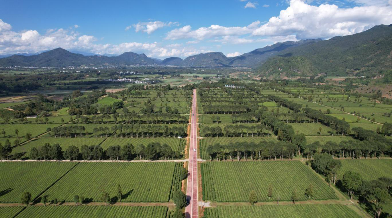 首页>行业新闻>撒马坝万亩茶园撒马坝公路位于耿马自治县勐撒镇,贯穿