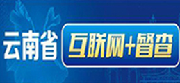 云南省“互联网+督查”