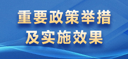 重要政策举措及实施效果